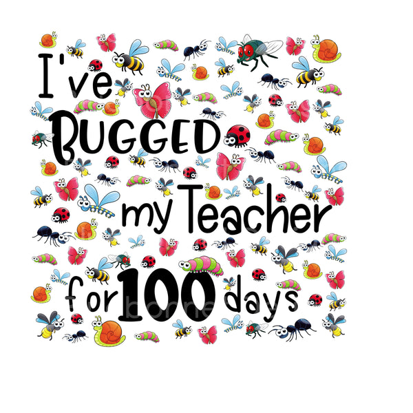 Bugged my teacher for 100 days