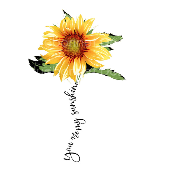 You are my sunshine sunflower