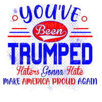 TRUMPED 2020 haters gonna hate