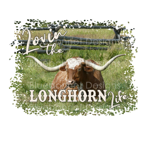 Lovin' the longhorn life