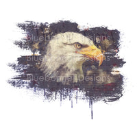 We the people eagle